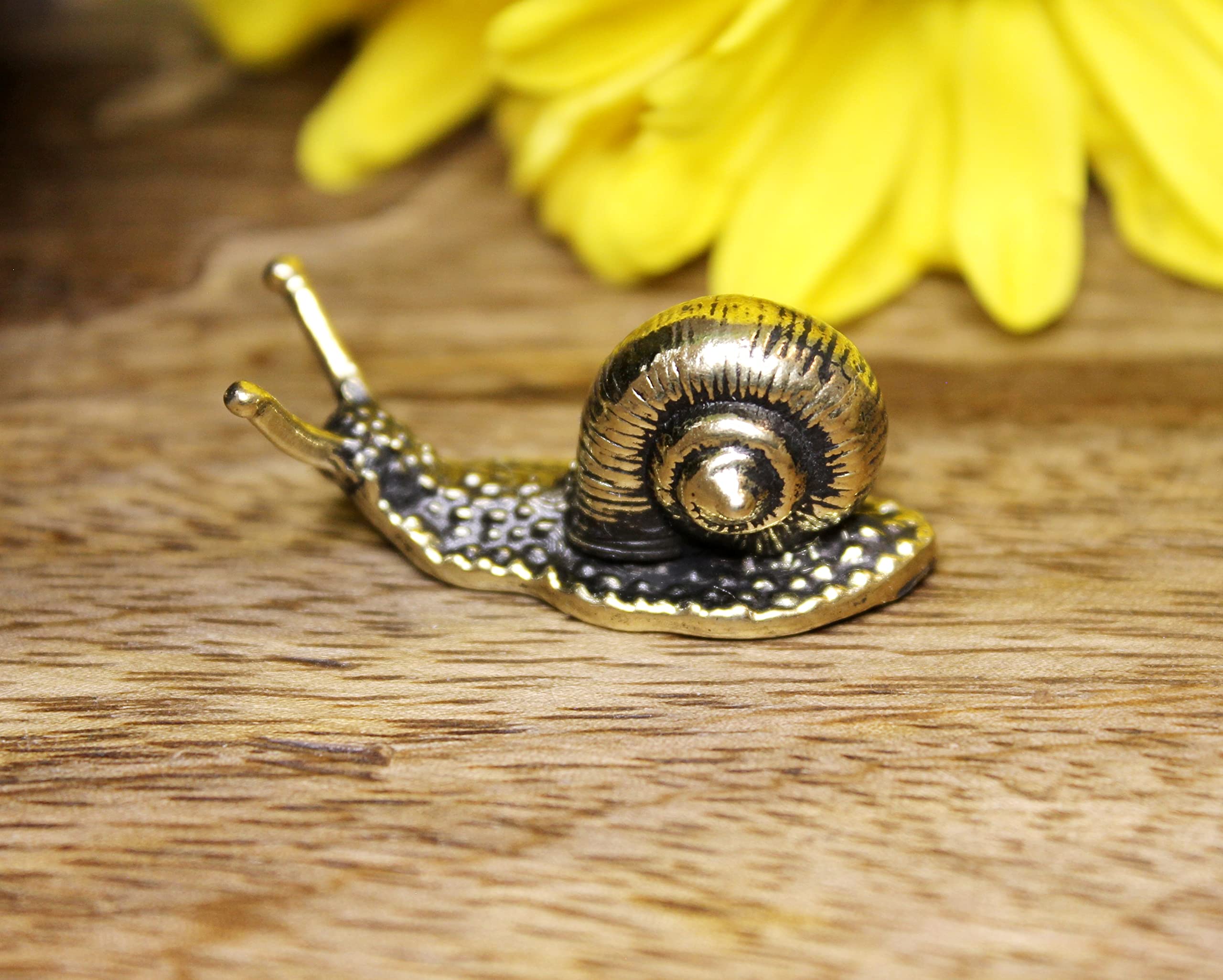Handmade brass snail sculpture from EDYSONS