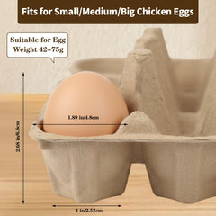 3x6 grid egg cartons with lid for farm storage