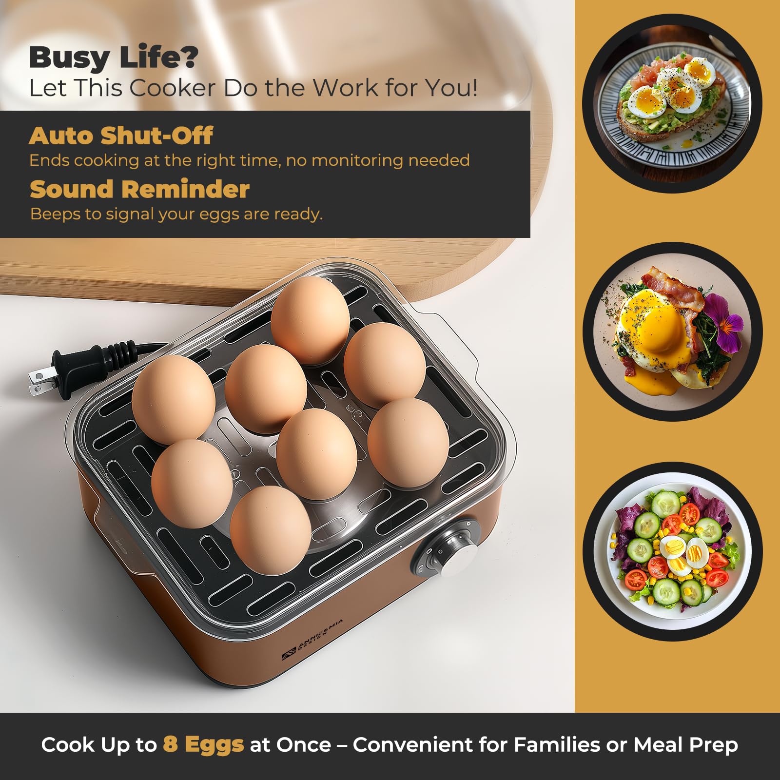 Knob control interface on Annie & Mia Design egg cooker