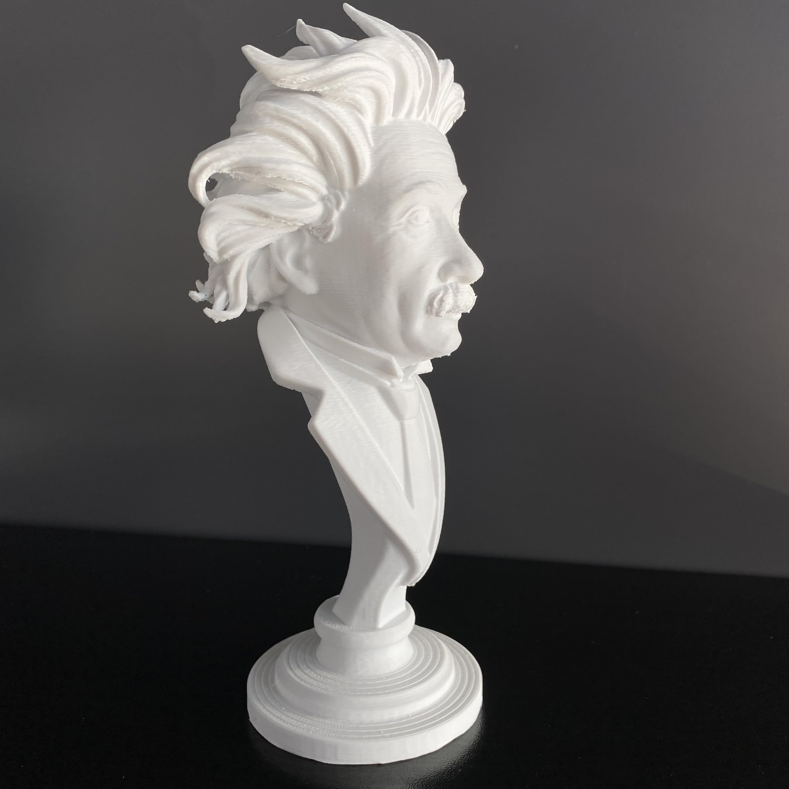 PLA material Albert Einstein bust decorative sculpture