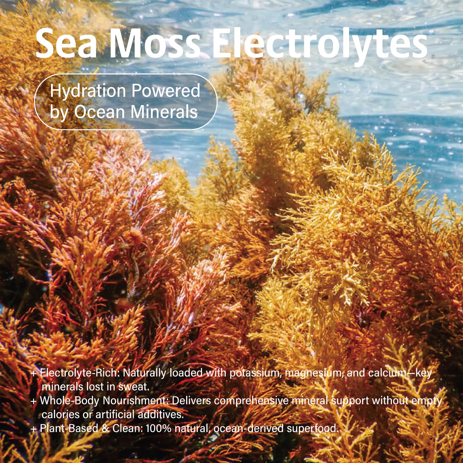 Electrolyte packets with 30 sticks