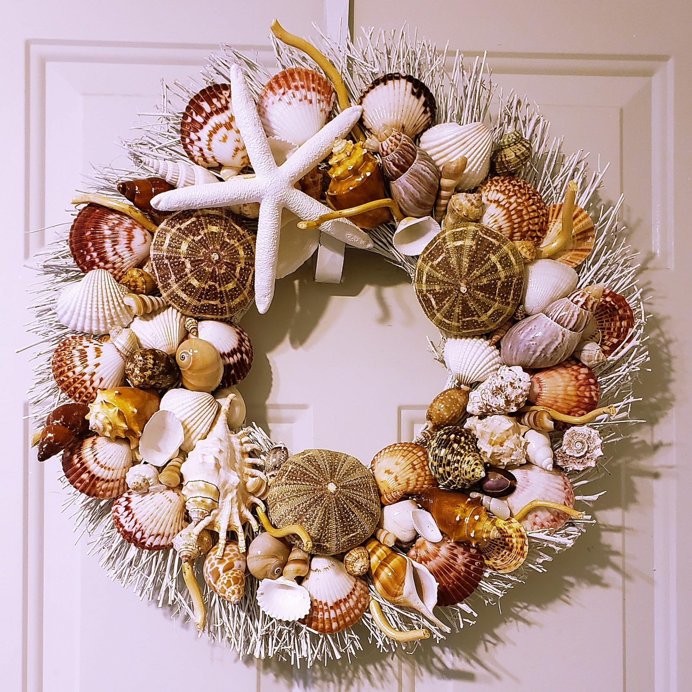 Ellies Collections seashell wreath white birch twig design 2 with urchins and white star 22 inch