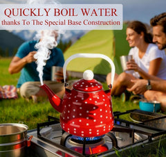 Kettle with loose lid and ceramic touch handle