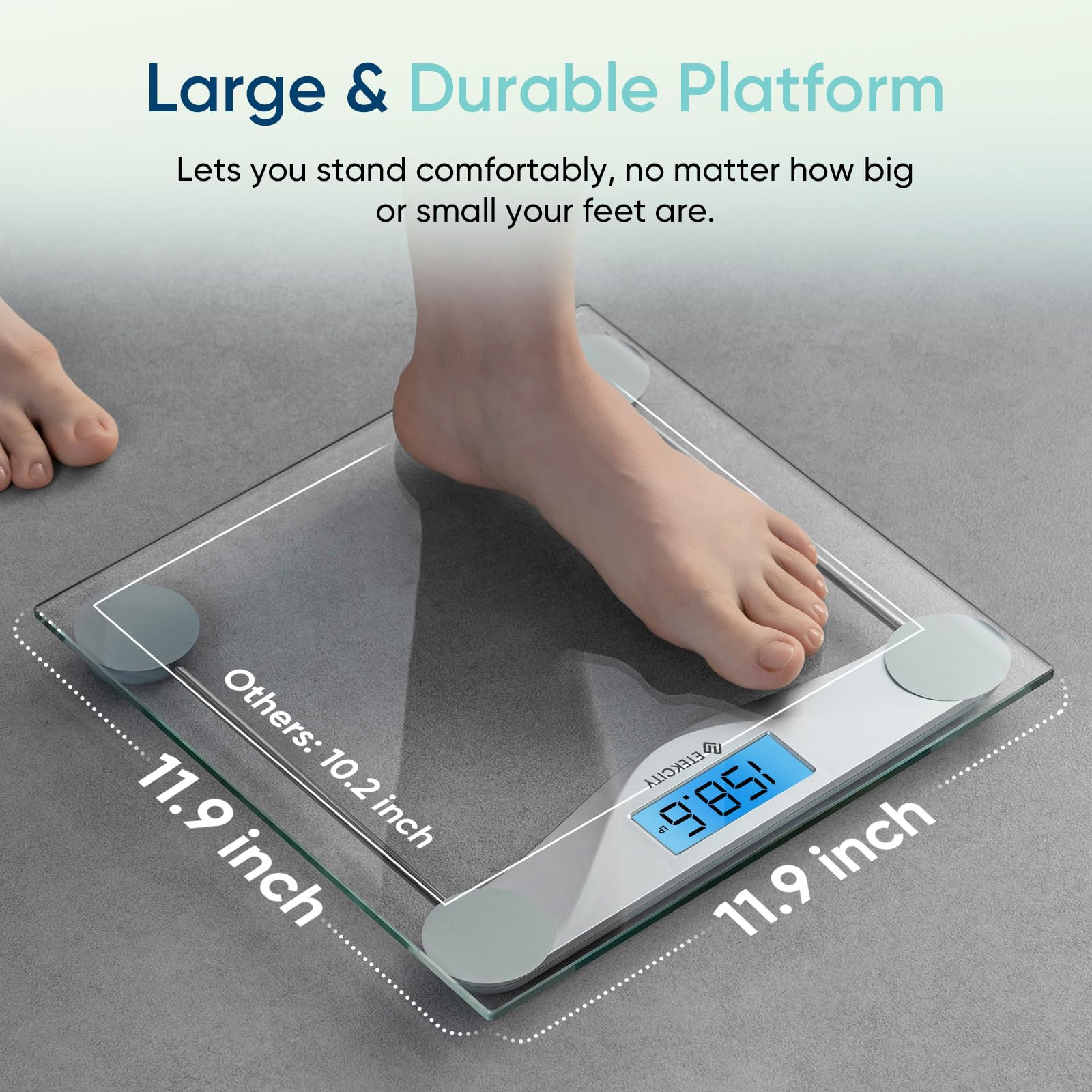 Large 11.9 x 11.9 inch platform on Etekcity scale