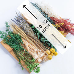 Dried flower stems length 10–12 inches for crafts