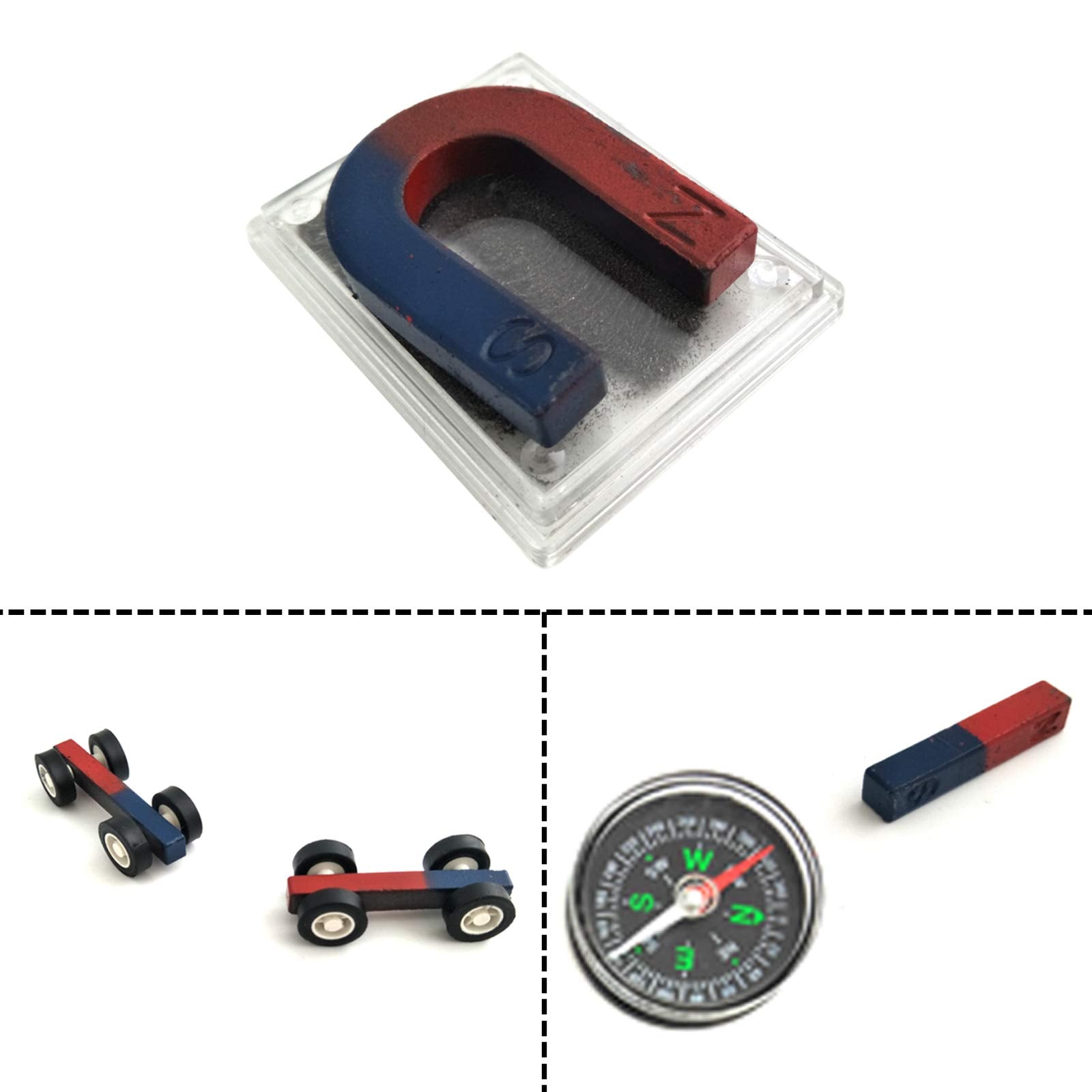 EUDAX Labs Junior Science Magnet Set ring ceramic magnets 6pcs