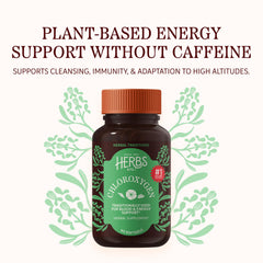 Chlorophyll softgels made from European Fescue Leaf and Alfalfa