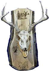 European Mount Plaque for deer skull display with rustic bark wood