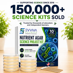 Evviva Sciences science project kit with cotton tipped sticks