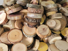 Extra small wood slices 0.75-1.25 inch diameter sample