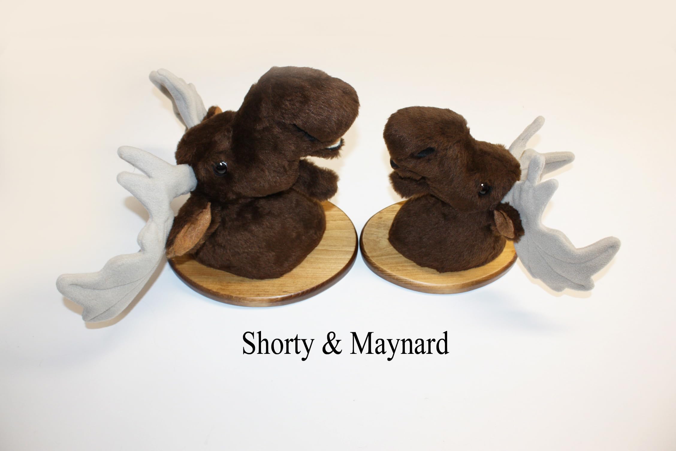 Lightweight moose plaque wall mount under 2 pounds for easy handling