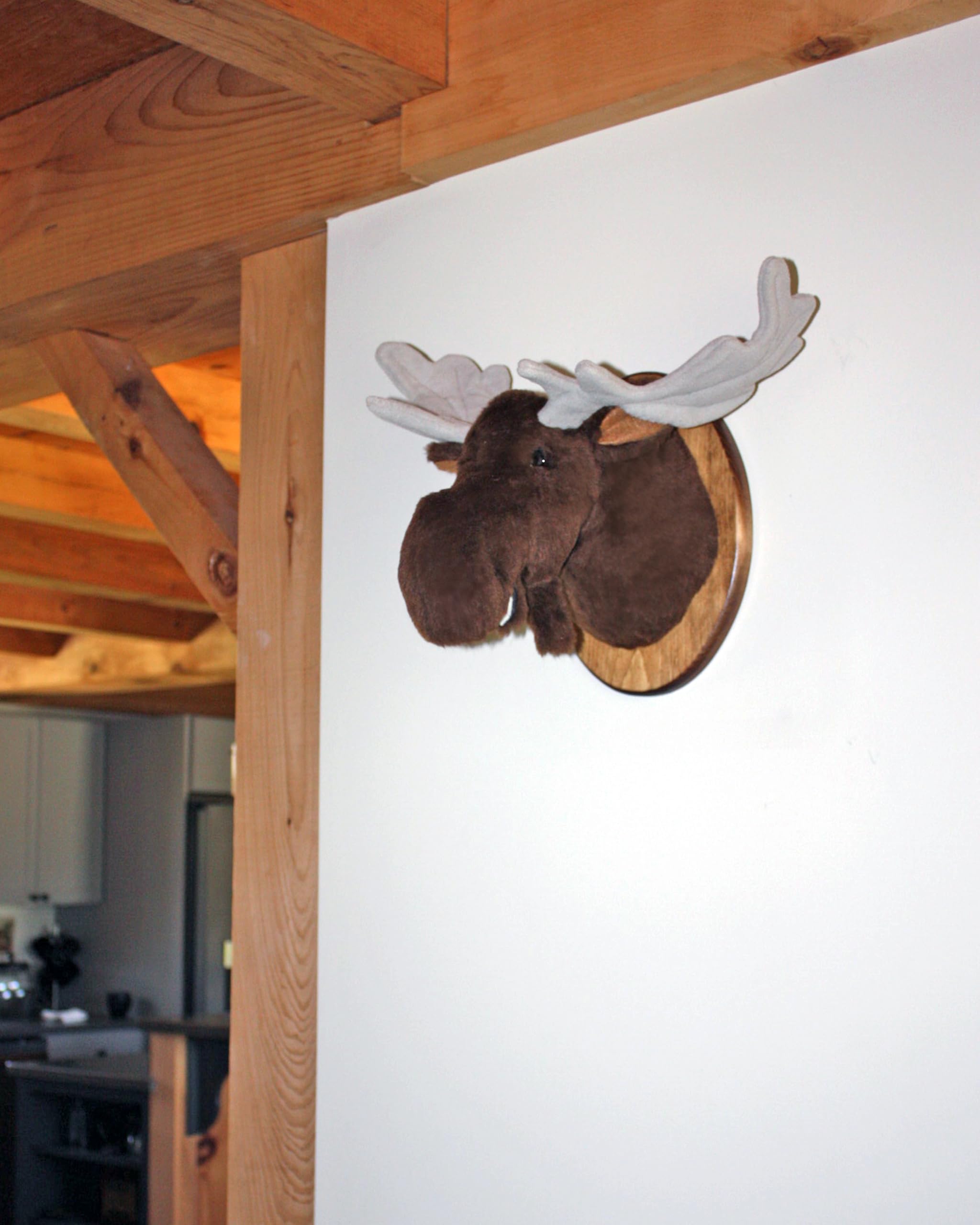 Oval plaque framing around plush moose display Shorty