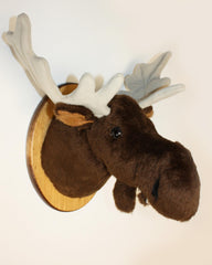 Moose plush wall mount Shorty depth 14 inches from nose to wall