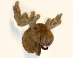 Antler width about 26 inches Jack display