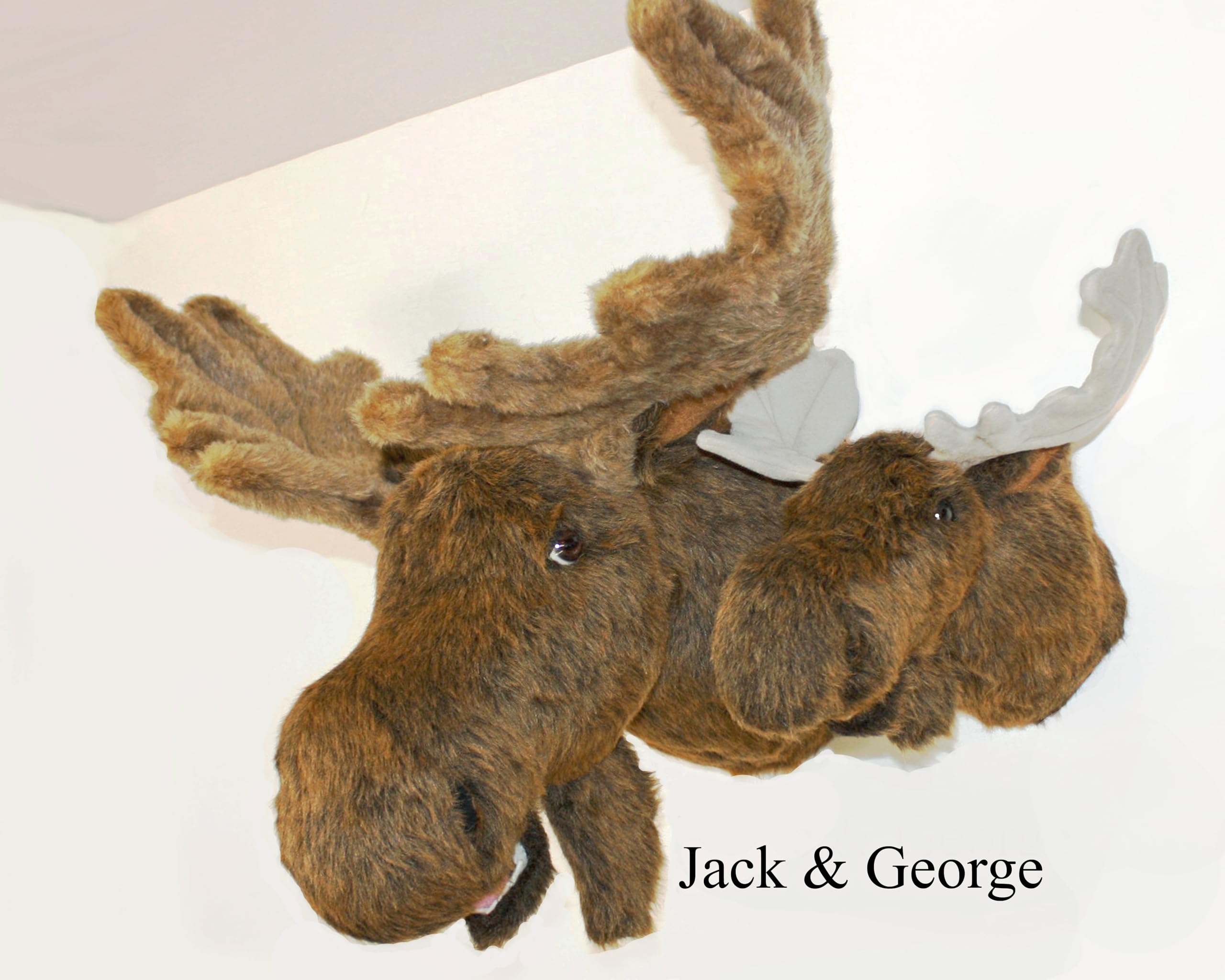 Top to bottom height 23 inches Jack plush moose wall mount