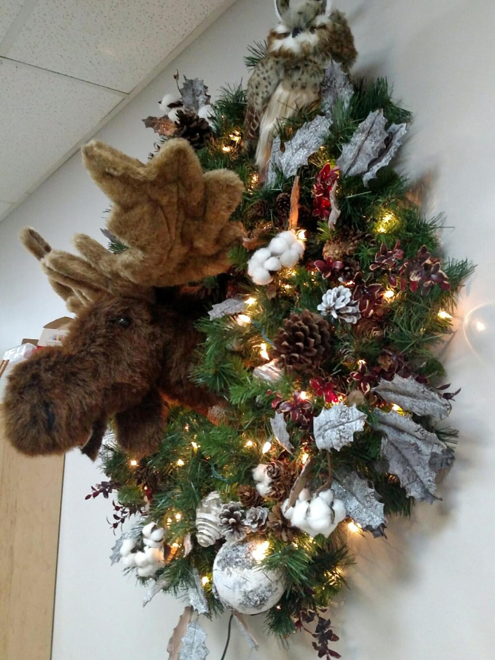 Girth around back 40 inches Jack plush moose wall mount