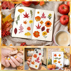 Dried leaves bundle for DIY gifts and decor