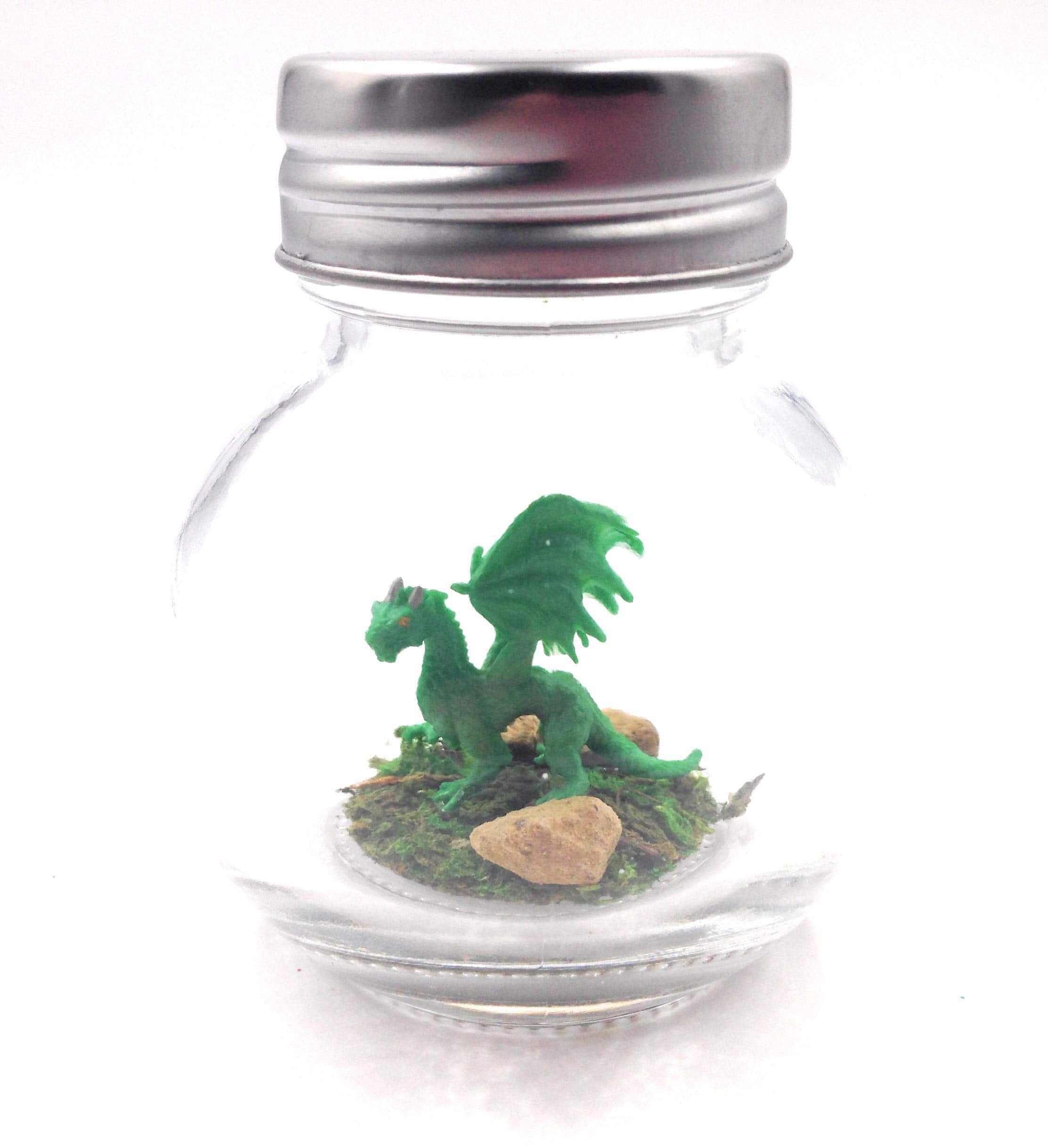 Family friendly pet dragon display