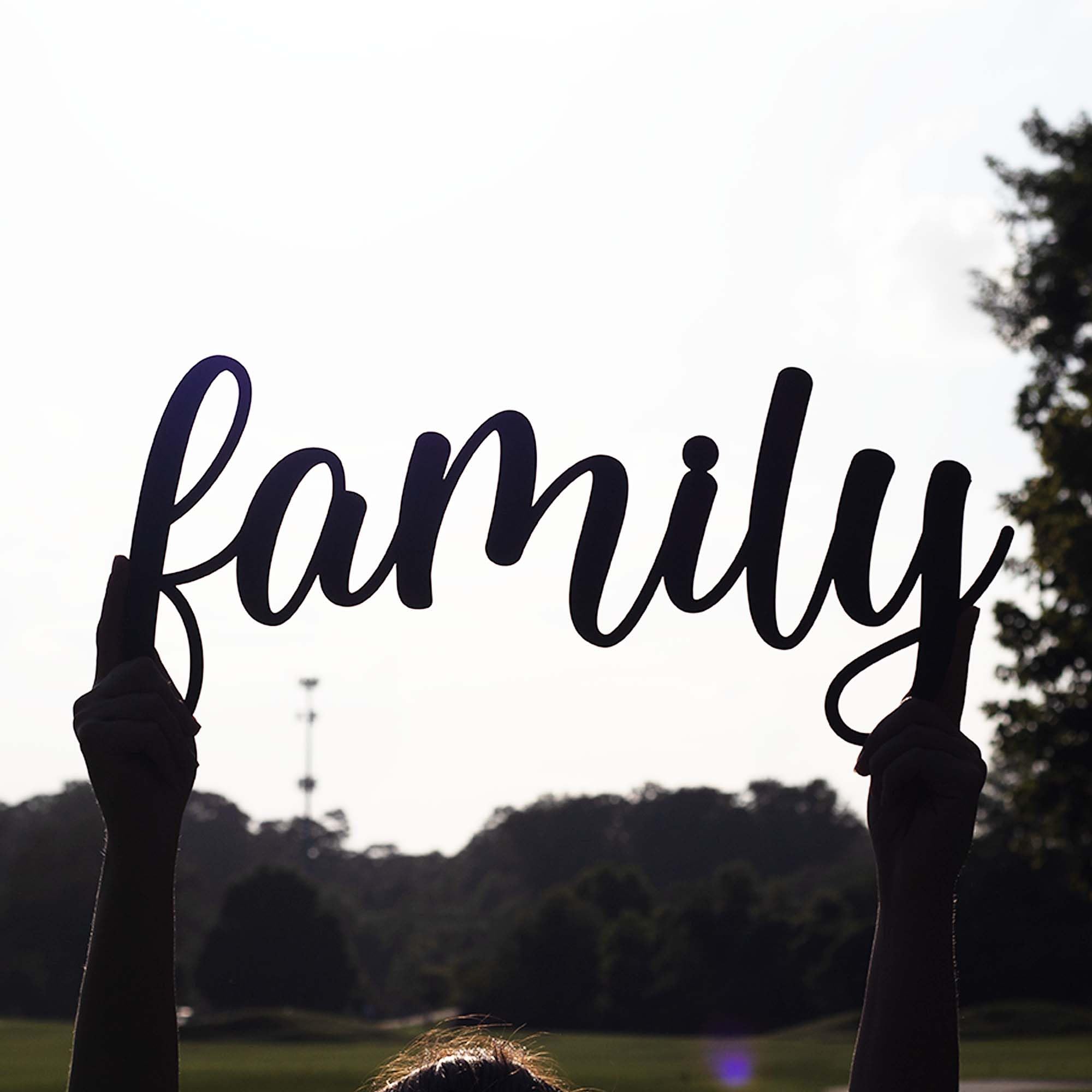 Family wall art script name design for home decor