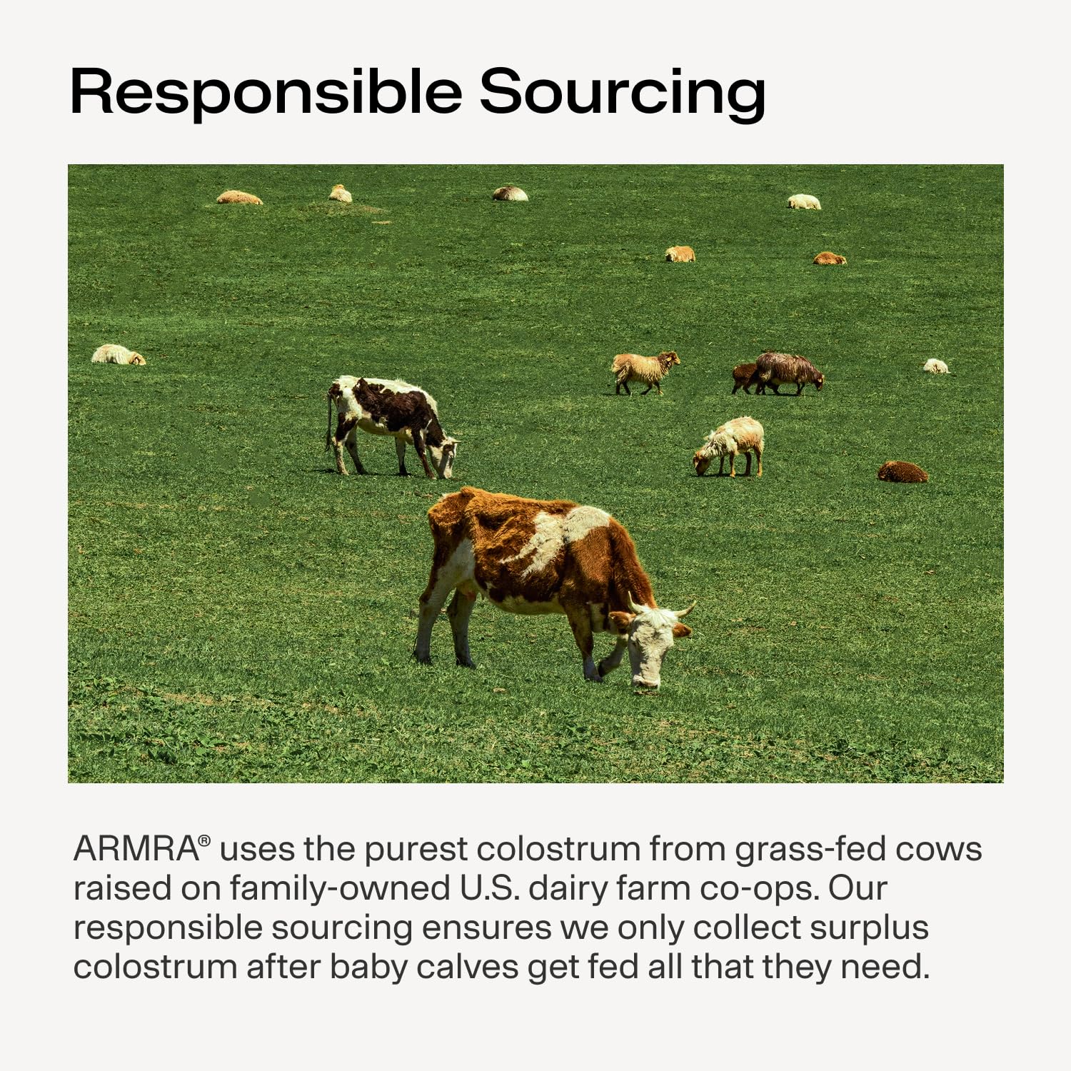 Bioactive nutrients ARMRA Colostrum Powder