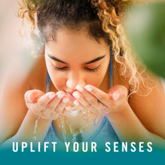 fade defy plug air freshener refills closeup