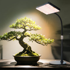 Indoor plants full spectrumLED grow light on table top