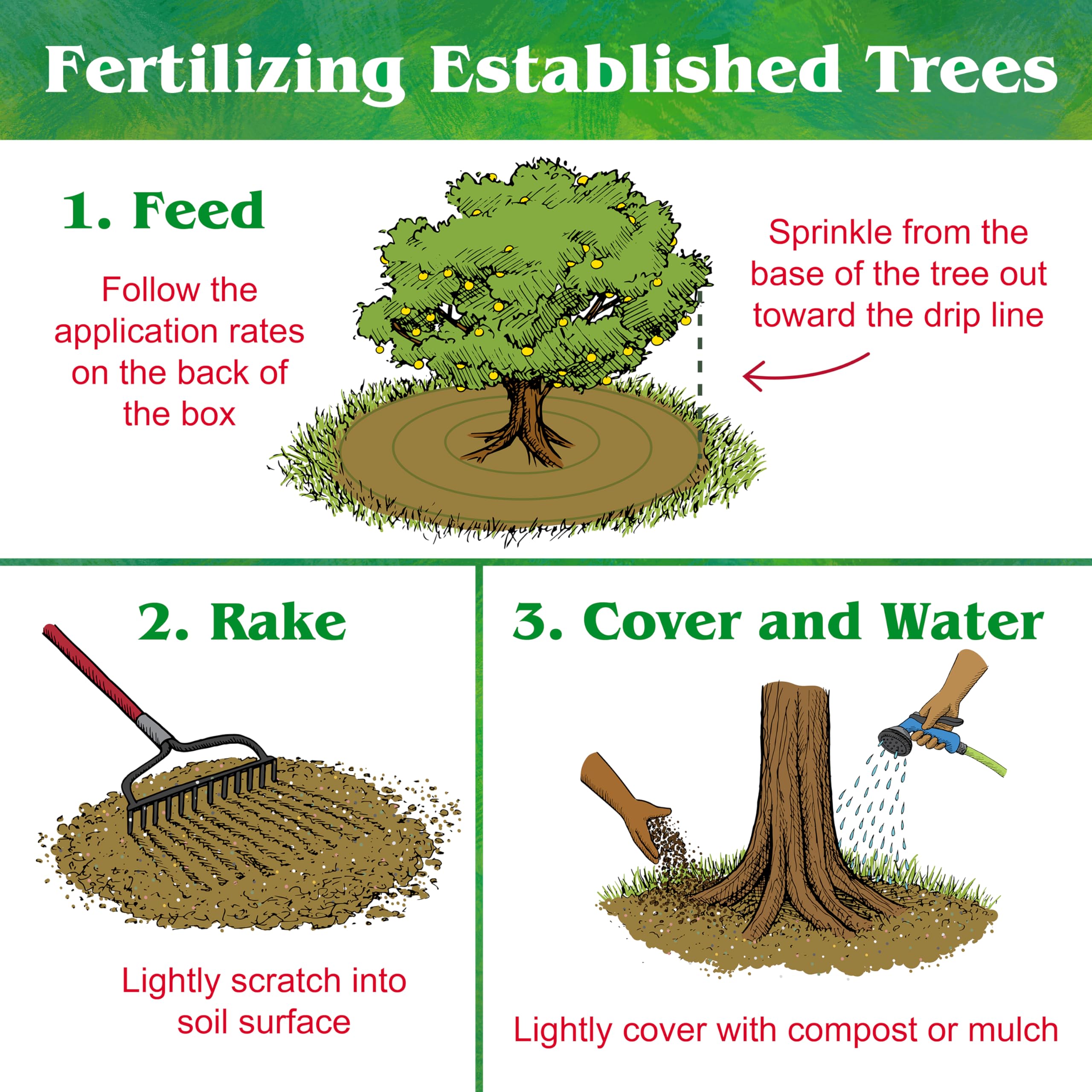 Citrus tree fertilizer 6-3-3 organic Down To Earth
