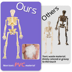 Head and limbs rotate 360 degrees on FINGOOO mini skeletons