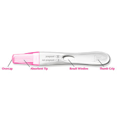 First Response pregnancy test kit English and Spanish instructions included