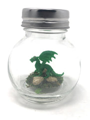 Fish Belli forest dragon tiny pet on display