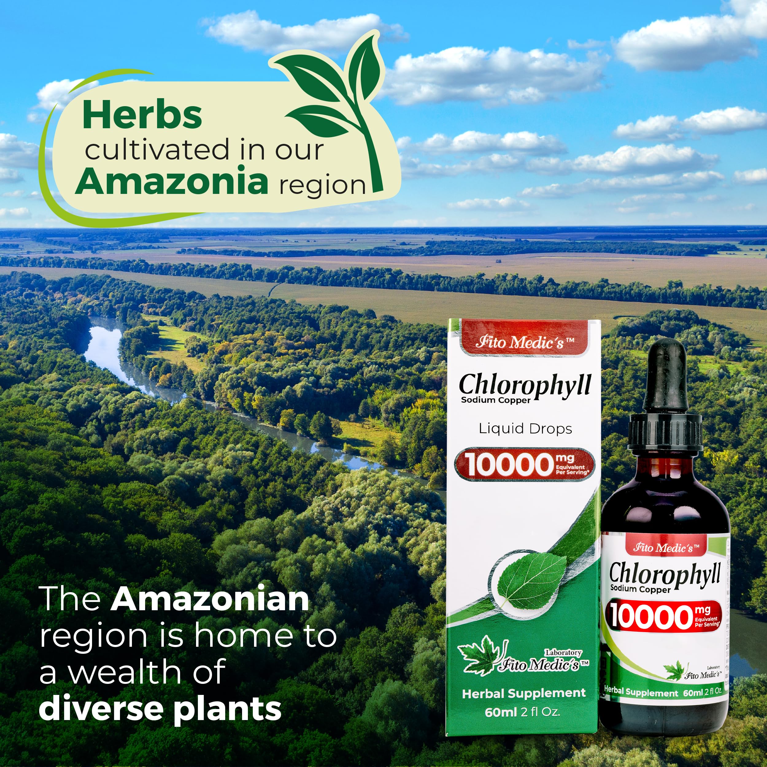 Daily vitality concept with chlorophyll drops