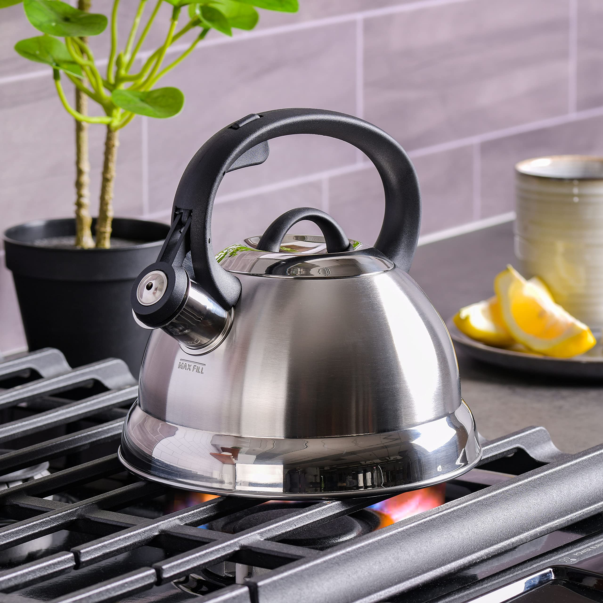 1.75-quart stainless steel whistling kettle on stove