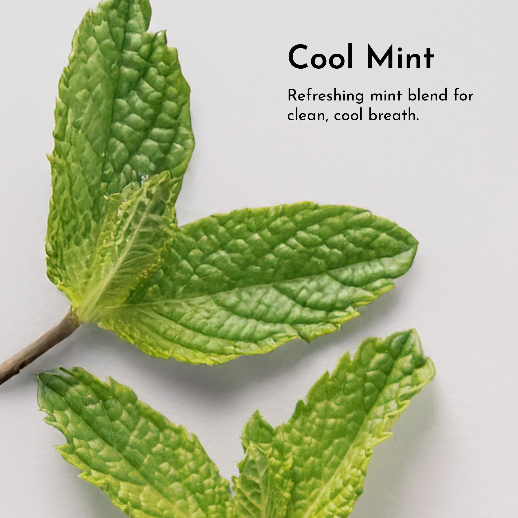 GMP-certified 1 oz remineralizing powder by JUST INGREDIENTS