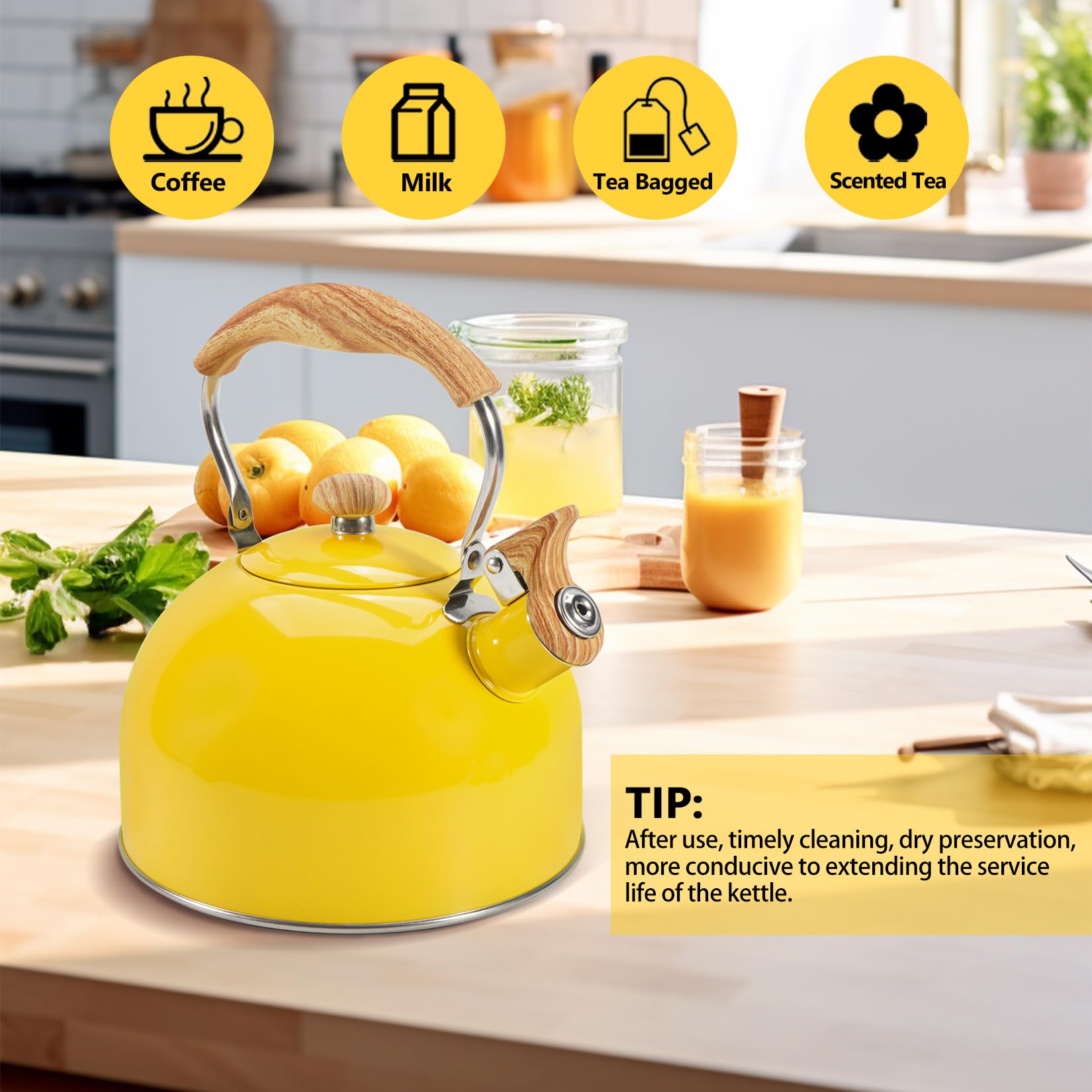 Foedo compact 2.6 quart tea kettle for kitchen