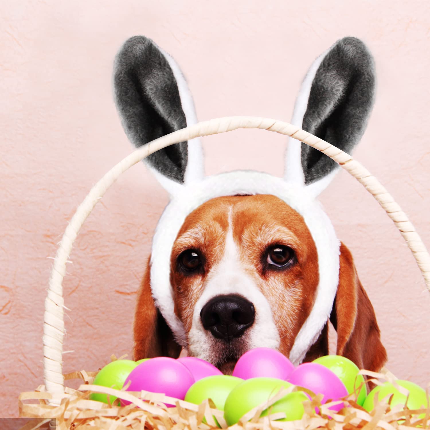 Easter Halloween party accessory and photo prop