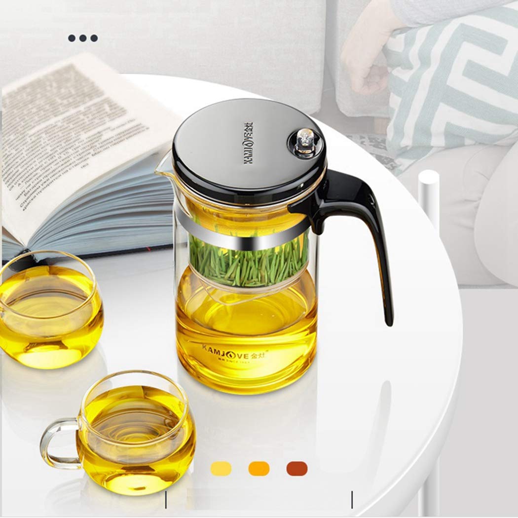 glass teapot with infuser and filter Kamjove