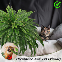 Hanging faux ferns from FOREST PRINCE for porch displays