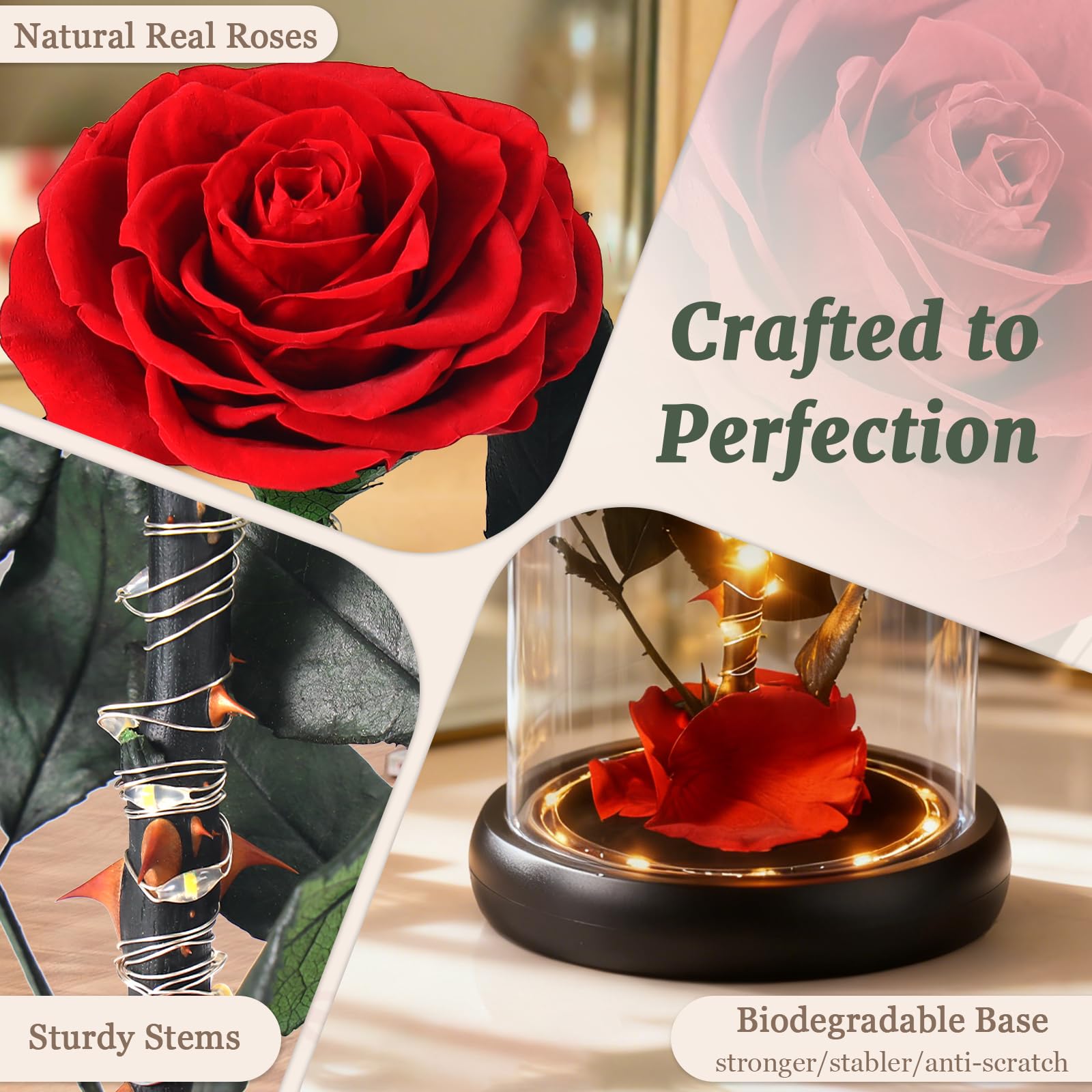 Forever Red Rose inside clear acrylic dome