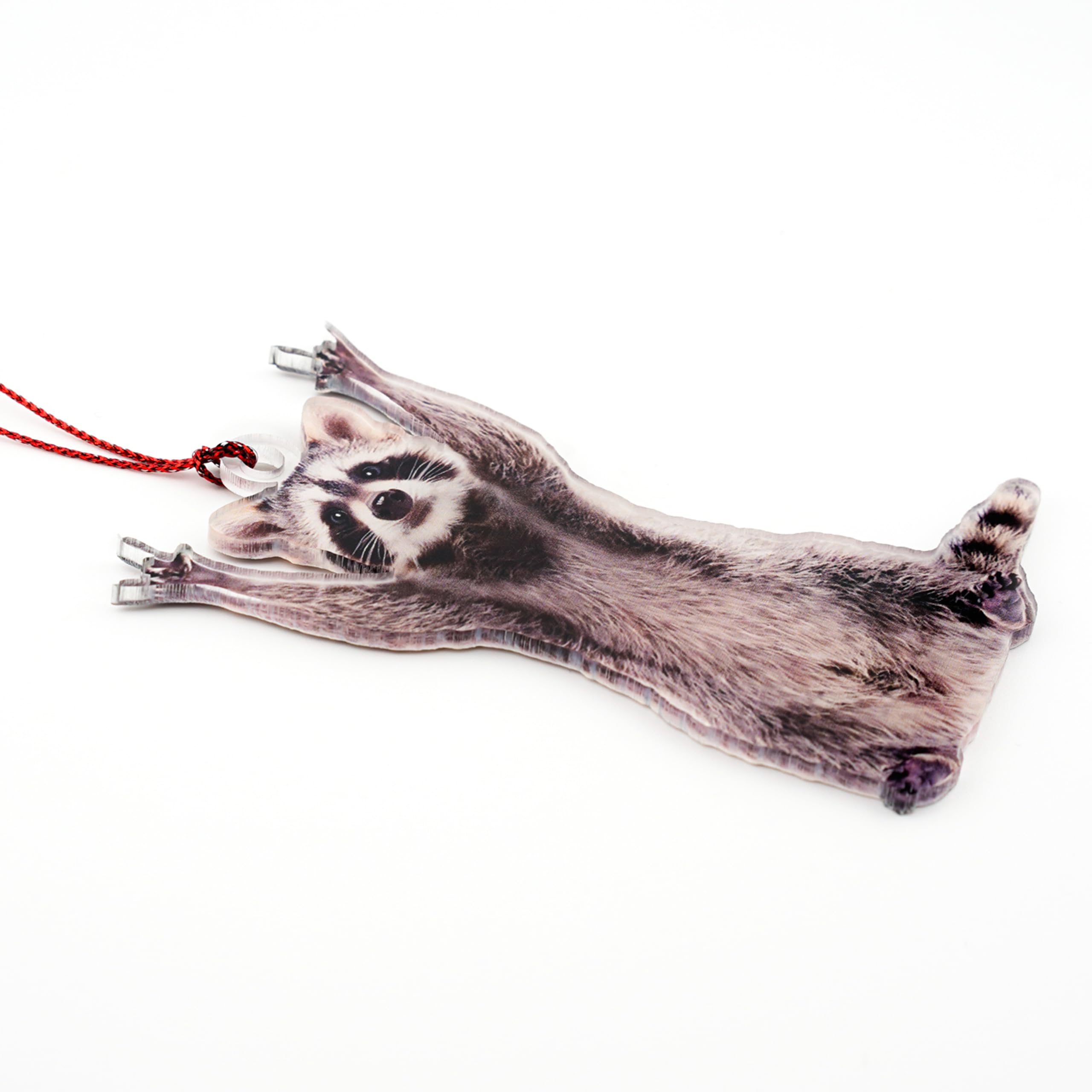 Funny gift for rock fans and raccoon enthusiasts