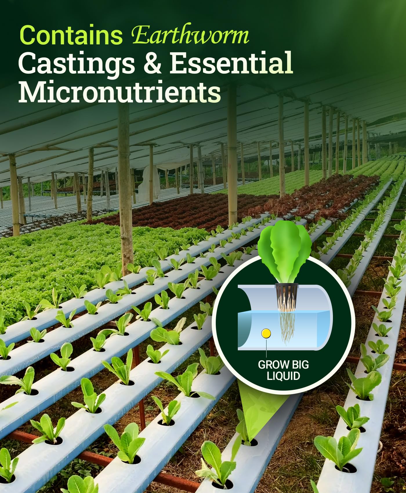 Hydroponic vegetative growth supplement for hydroponic systems
