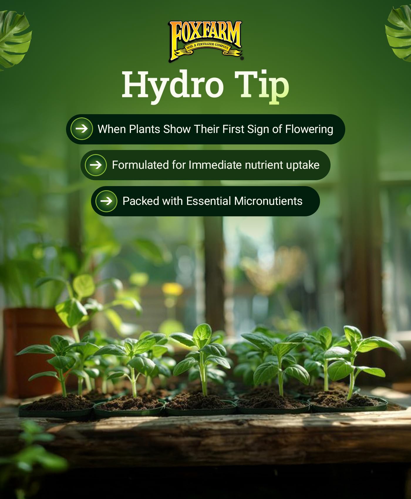 Guidance on nutrient mixing and FoxFarm Feeding Schedule for this product