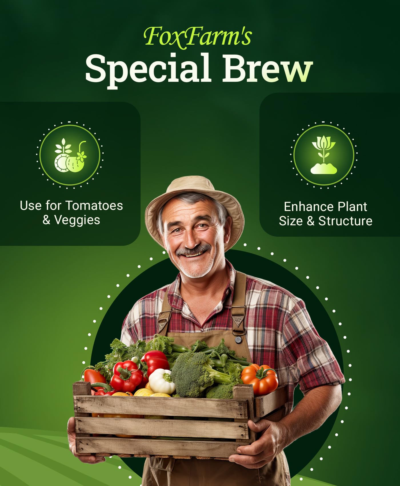 Liquid fertilizer with earthworm castings and micronutrients