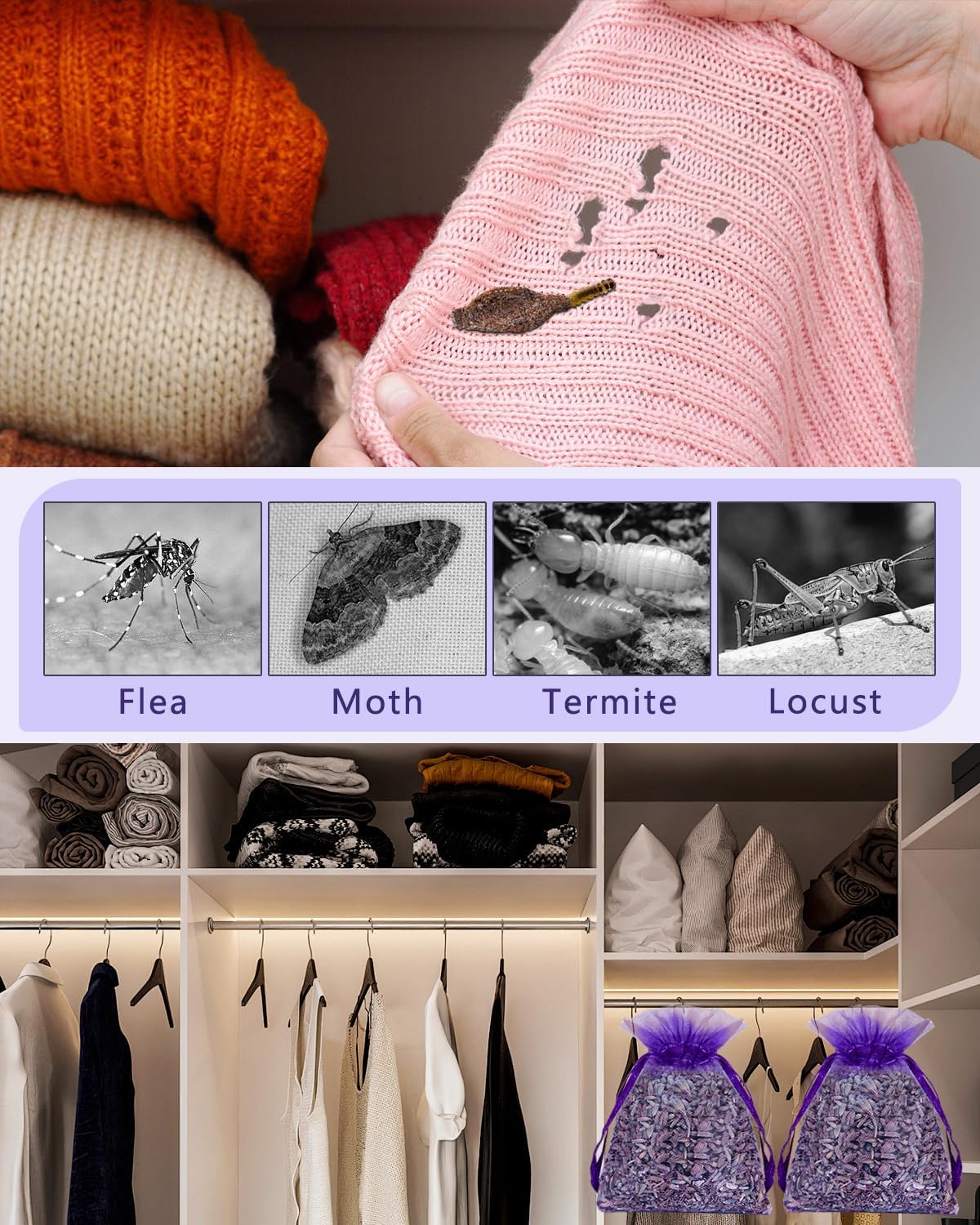 Pure natural French dried lavender sachets