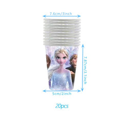 20 plates 9 inches from Frozen Birthday Party Supplies Set
