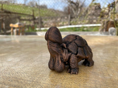 Funny turtle desk decor decorative figurine on desk