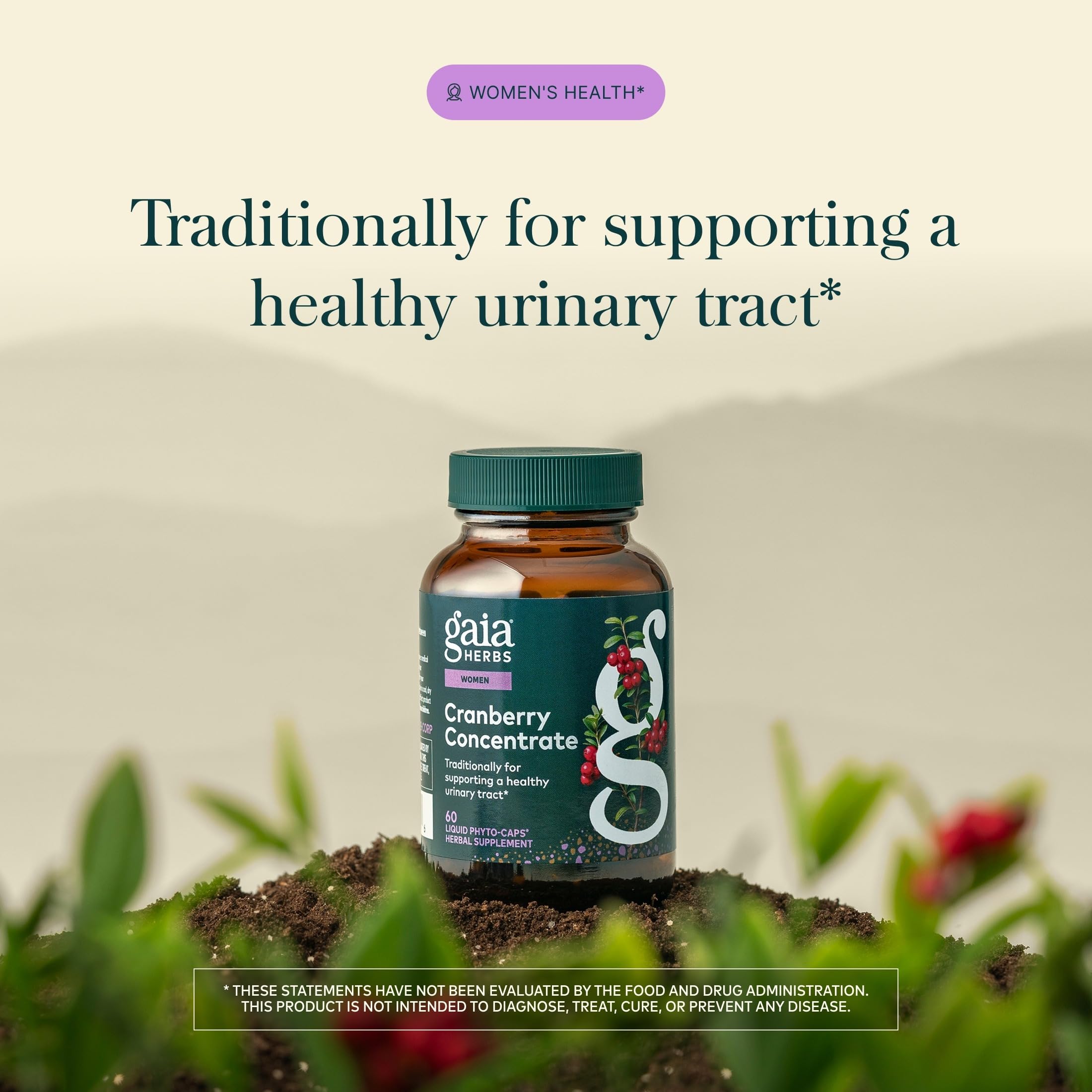 60 vegan capsules cranberry concentrate gaia herbs