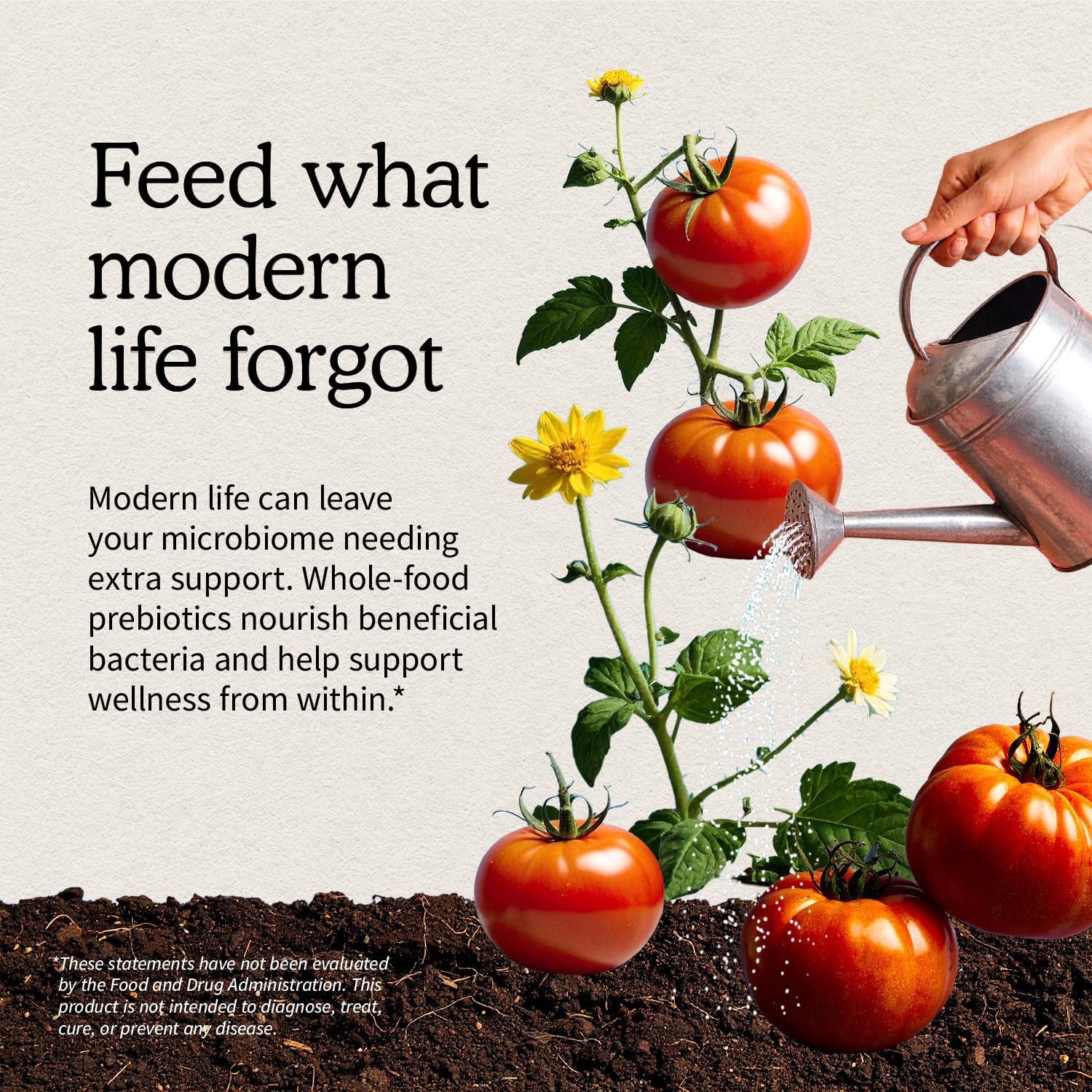 32 servings container of Garden of Life Dr Formulated Organic Fiber Powder