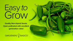 Home garden jalapeno seeds Gardeners Basics
