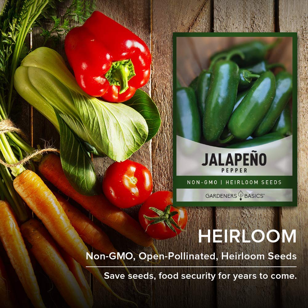 Gift idea jalapeno seeds Gardeners Basics