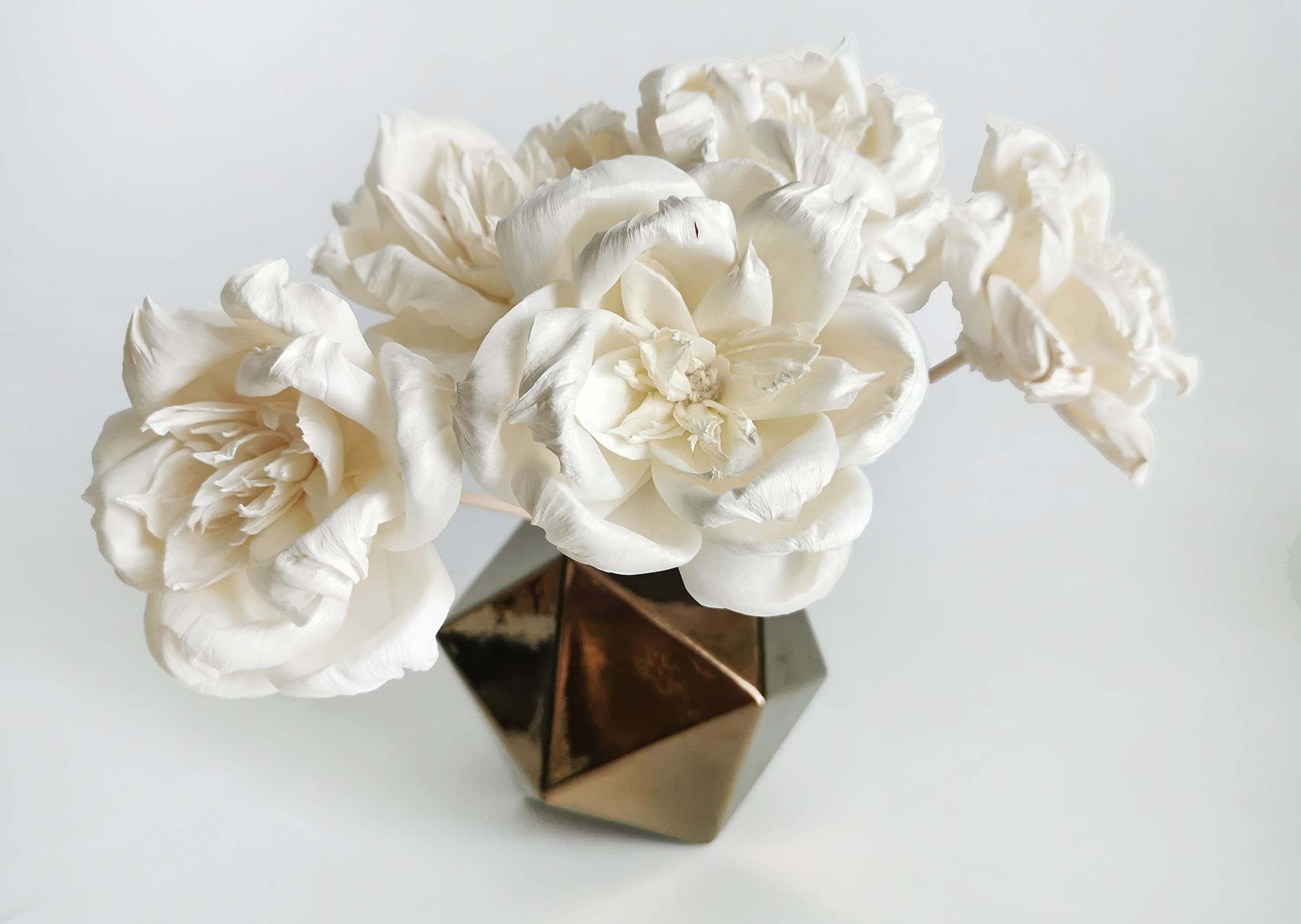 Gardenia Magnolia Sola design variation